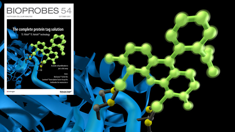 BioProbes 54 Cover